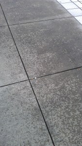 It is an amazing journey, but I am not sure what my destination will be.