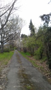 Sometimes the path is clear.