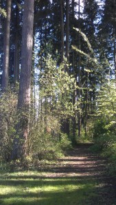 A tempting path into the unknown.