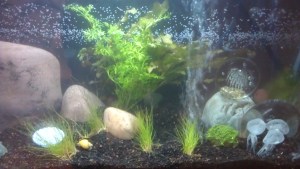 Excitement, adventure, and life...better than television.