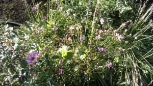 ...and now for a change of topic...