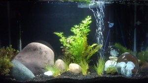 Simple delight. Now. Enough.