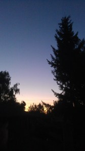 ...finally...evening light.