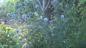 ... or from a distance.  Perspective matters.