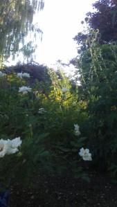 Life from another angle...child's eye view.