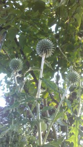 Things look different, from another perspective...