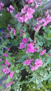 ... just in case you need a breather from the serious stuff