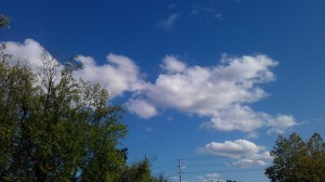 What will the world be like tomorrow, if we choose wisely today?