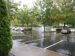 More damp than daunting. lol