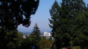 A picture of another lovely day.