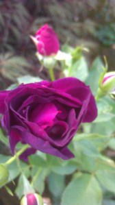 Sometimes it helps to talk things over with a friend... thank you for 'being there'. 