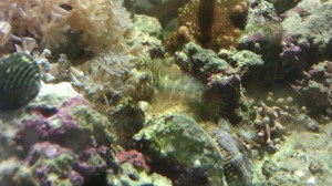 No matter how small our world may appear to someone else, it is everything we know, ourselves.