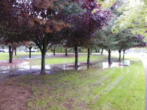 Soon, wet feet were a much bigger deal than wet  weather!