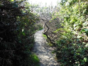 ...the descent becomes a gentle meditation of its own...