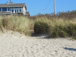 I look back from the beach, and as with so many mysteries, it seems to have disappeared.