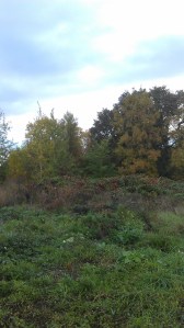 Down the road, across the field, along the way; here, too, autumn.