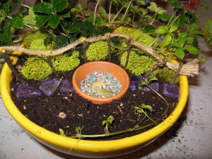 A garden in miniature.