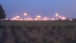 A recent dawn. This morning will be darker; sunrise comes later.