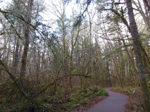 The path as metaphor was a common theme.