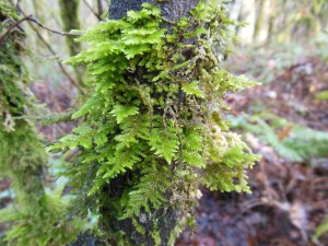 Beautiful details, up close.