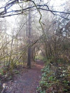 5 miles is a lot of path...