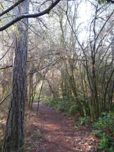 ...more to see around every bend...