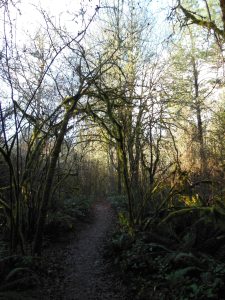 Some paths are darker.