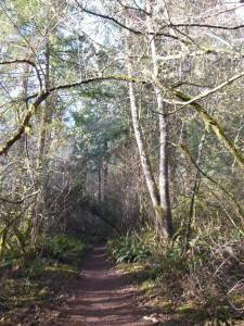 The hustle and noise of humans being is silent here.