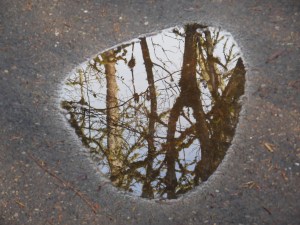 Reflected sky, and a metaphor for reflection.
