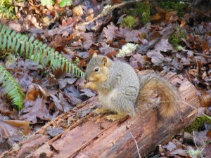This guy is mindful, and living in his moment.