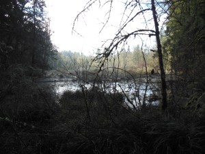 The end of the journey.