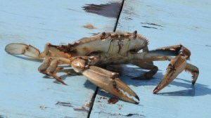 How approachable I felt this morning. :-)