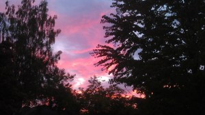 One of many sunrises.