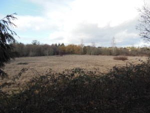 Across the distance to the sky beyond.