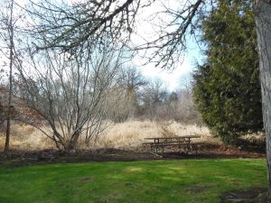 A lovely spot for lunches.