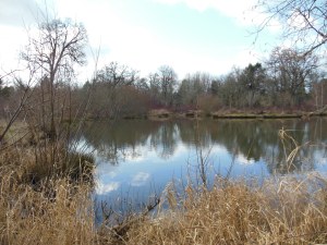 Sky reflected in water.