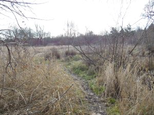 A path...a journey...a future.