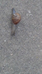 No rush... there are 364 days before 2015!