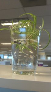 Small things matter.