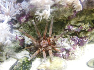 How we define ourselves, and what we accept as our limitations, changes what we can choose.