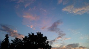 As far as the eye can see...