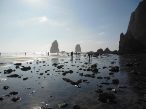 Sky, sand, and a distant horizon.