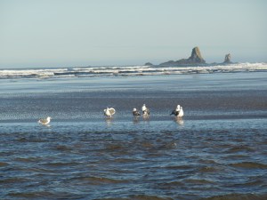 Where the river meets the sea.