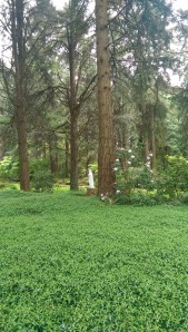 From a distance, even symbols that are not 'mine' might speak to me of things that matter.