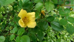 Beauty feels so good.