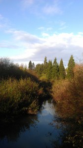 From this perspective it's all blue skies and spring time...