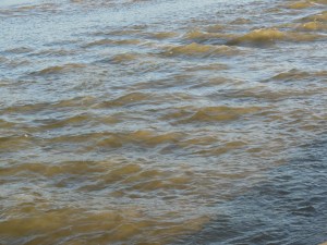 The pattern of ripples in water.