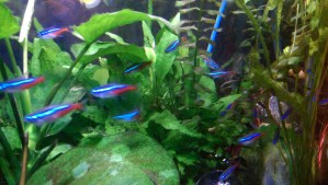 When we are explicit about our needs and desires, it is easier to fulfill them.