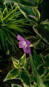 Simple things matter so much.