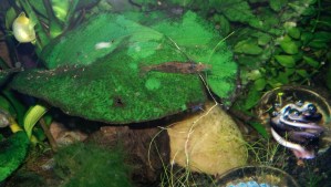 Importance isn't about size, grandeur, or what matters to someone else.